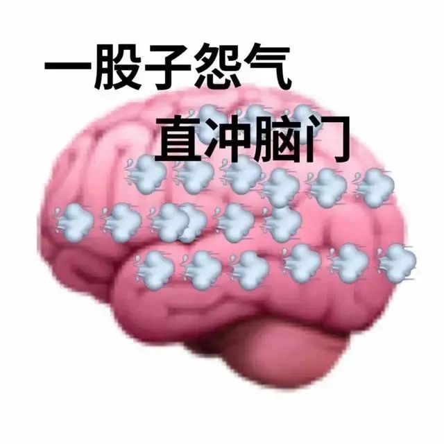 图片[7]-笑不活了家人们-喜欢表情包分享—全网表情包