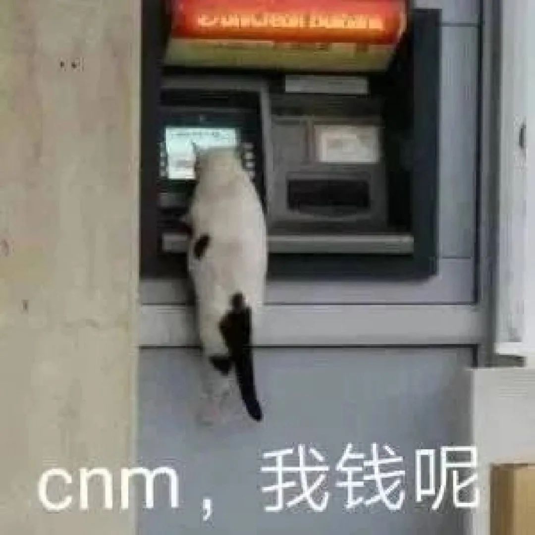 图片[12]-可爱的猫猫狗勾表情增加了-喜欢表情包分享—全网表情包