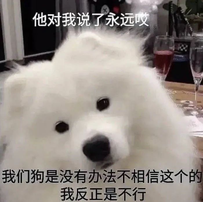 图片[2]-狠狠爱住表情包-喜欢表情包分享—全网表情包