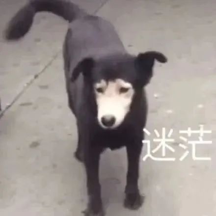 图片[18]-系啊 我介样的人整莫会被爱-喜欢表情包分享—全网表情包