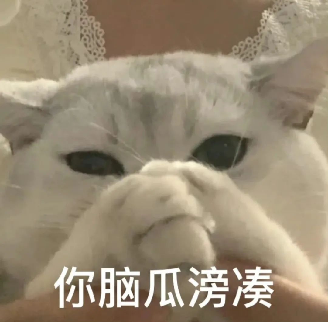 图片[1]-表情包 | 报告，今天有点想你-喜欢表情包分享—全网表情包
