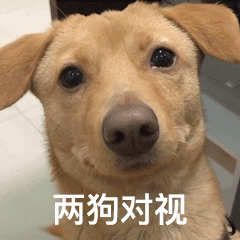 图片[3]-栓 Q 您嘞-喜欢表情包分享—全网表情包