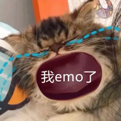 图片[13]-45个聊天撒娇必用大嘴猫表情-喜欢表情包分享—全网表情包