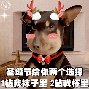 图片[2]-圣诞快乐-喜欢表情包分享—全网表情包