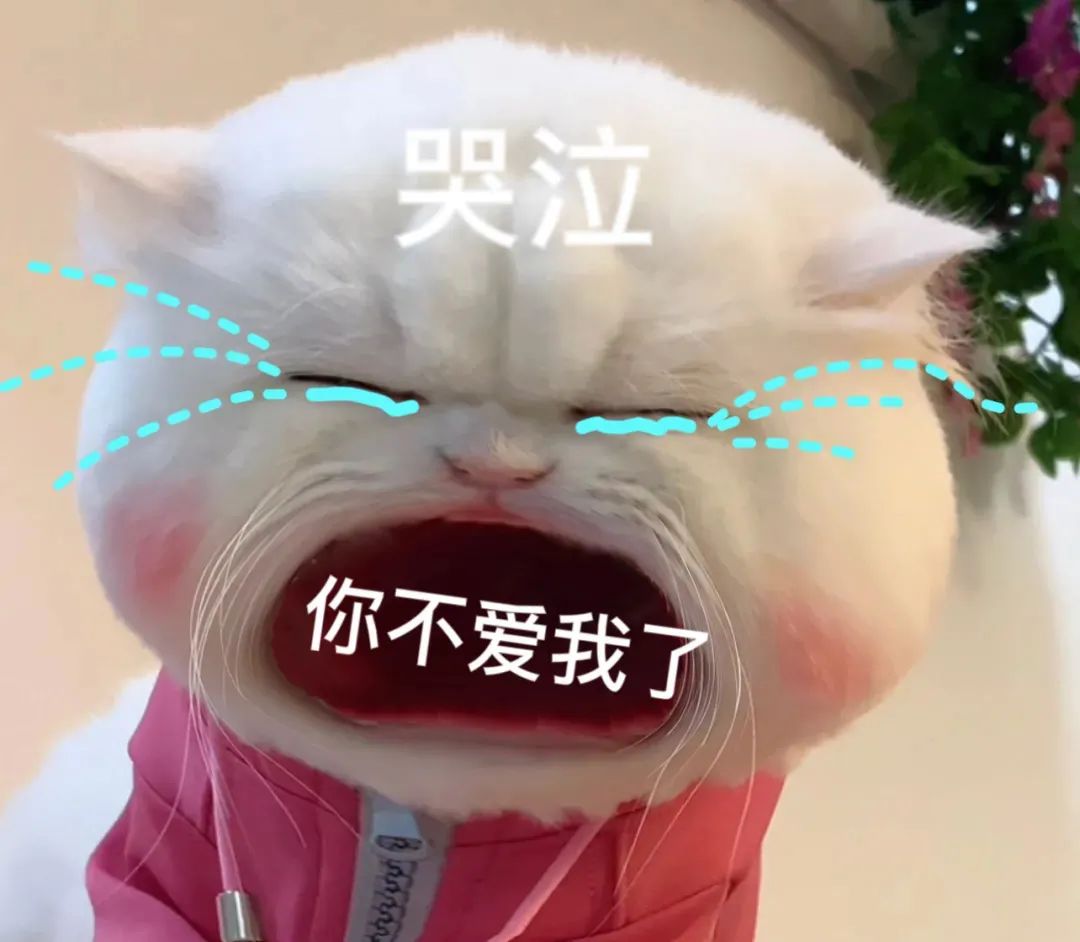 图片[16]-45个聊天撒娇必用大嘴猫表情-喜欢表情包分享—全网表情包