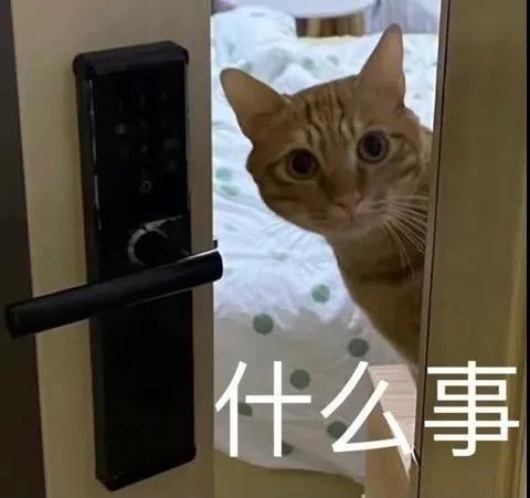 图片[5]-表情包-喜欢表情包分享—全网表情包