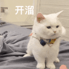 图片[34]-你们要的冰墩墩超火表情包-喜欢表情包分享—全网表情包
