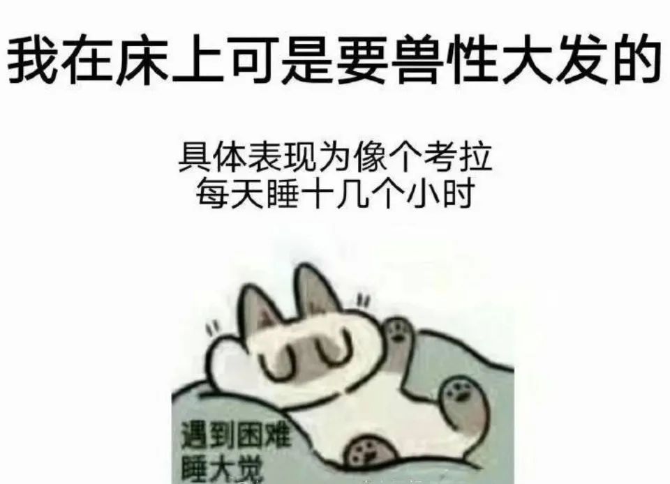 图片[25]-我在床上可是要兽性大发的-喜欢表情包分享—全网表情包