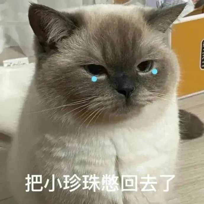 图片[1]-帅锅的事 你少管-喜欢表情包分享—全网表情包