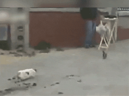 图片[1]-【GIF】突然失去梦想-喜欢表情包分享—全网表情包