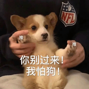 图片[43]-可爱到爆的表情包-喜欢表情包分享—全网表情包