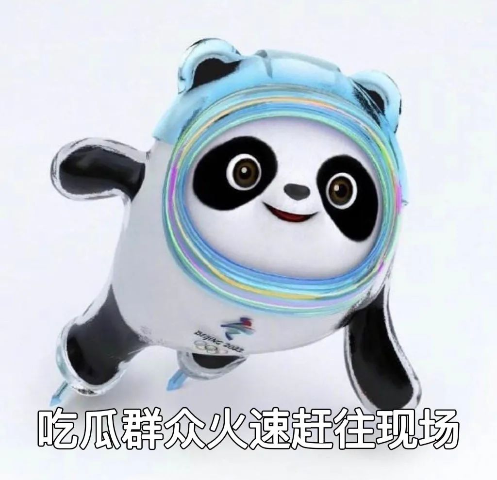 图片[8]-冰墩墩表情包 | 我是他的表弟铁憨憨-喜欢表情包分享—全网表情包