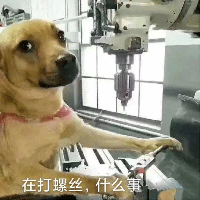 图片[10]-有一点骚yyds-喜欢表情包分享—全网表情包