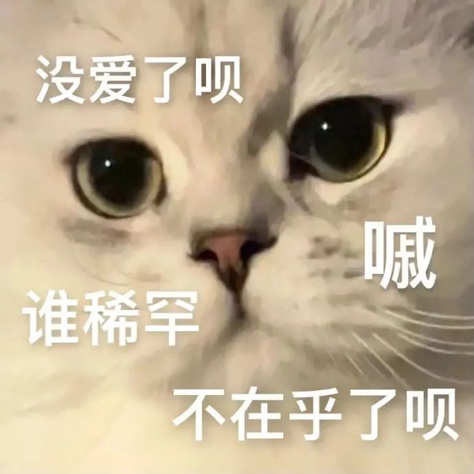 图片[6]-表情包-喜欢表情包分享—全网表情包