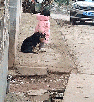 图片[1]-【GIF】有点可爱了-喜欢表情包分享—全网表情包