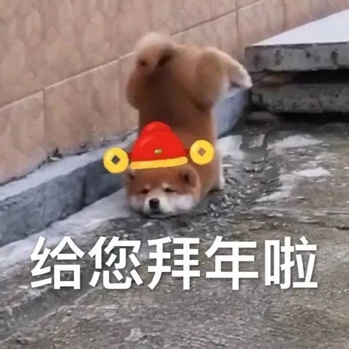 图片[3]-好棒棒哦-喜欢表情包分享—全网表情包
