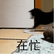 图片[7]-这水瓶就太高了-喜欢表情包分享—全网表情包