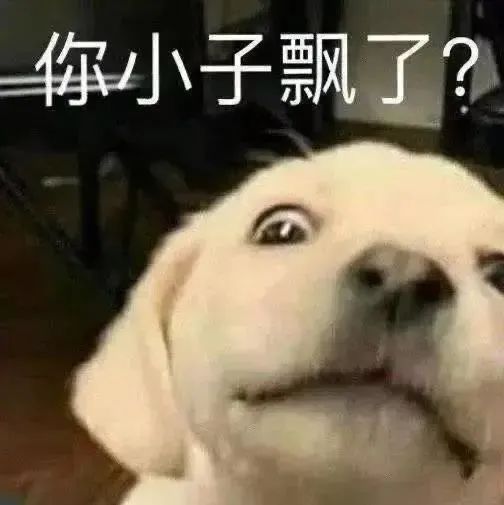 图片[5]-实用斗图表情包-喜欢表情包分享—全网表情包