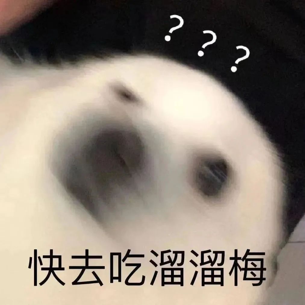 图片[4]-狠狠爱住表情包-喜欢表情包分享—全网表情包
