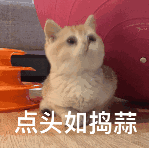 图片[3]-come on，宝贝-喜欢表情包分享—全网表情包
