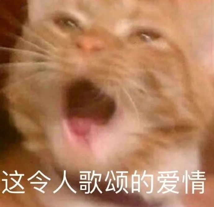 图片[20]-表情包-喜欢表情包分享—全网表情包