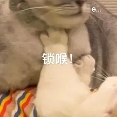 图片[17]-可以进你被窝吗？-喜欢表情包分享—全网表情包