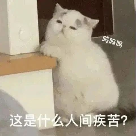 图片[2]-50个聊天阴阳怪气的表情包-喜欢表情包分享—全网表情包