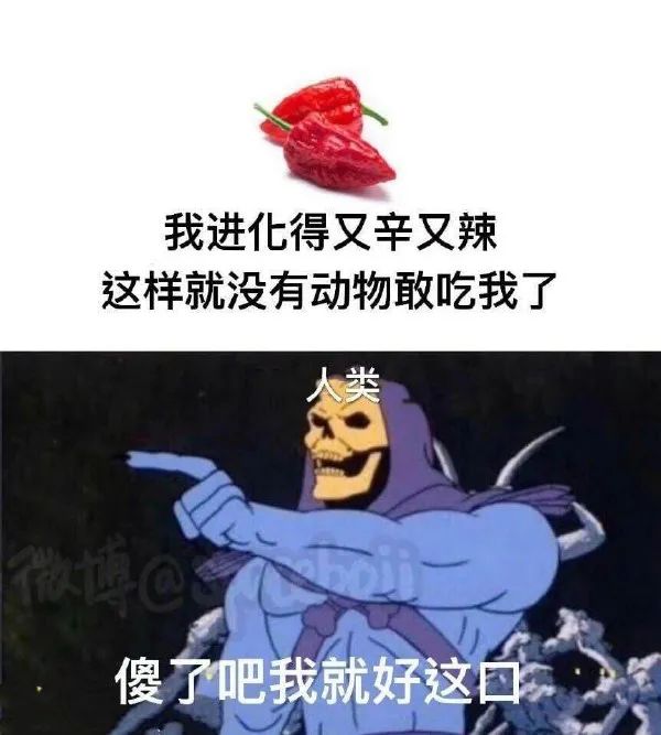 图片[16]-真是草了-喜欢表情包分享—全网表情包