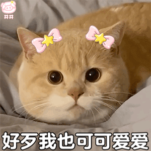图片[3]-你不要我了吗-喜欢表情包分享—全网表情包
