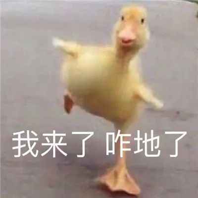 图片[3]-那些笑死人的沙雕表情包-喜欢表情包分享—全网表情包
