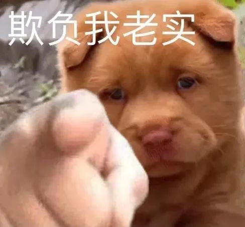 图片[14]-表情包 | 女人啊，还是要哄~-喜欢表情包分享—全网表情包