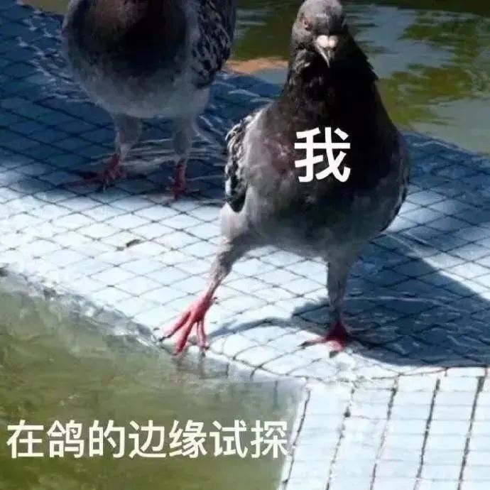 图片[10]-奇怪的表情增加了-喜欢表情包分享—全网表情包