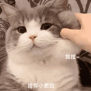 图片[30]-可爱到爆的表情包-喜欢表情包分享—全网表情包