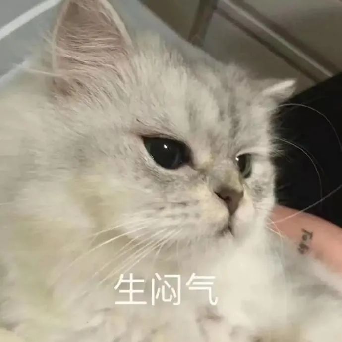 图片[21]-没见过别人亲热吗-喜欢表情包分享—全网表情包