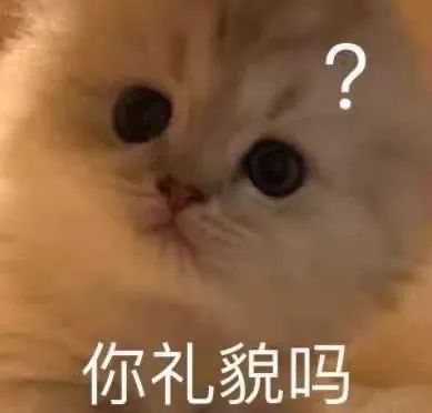 图片[1]-聊天必备表情包『江湖最高礼仪！』-喜欢表情包分享—全网表情包