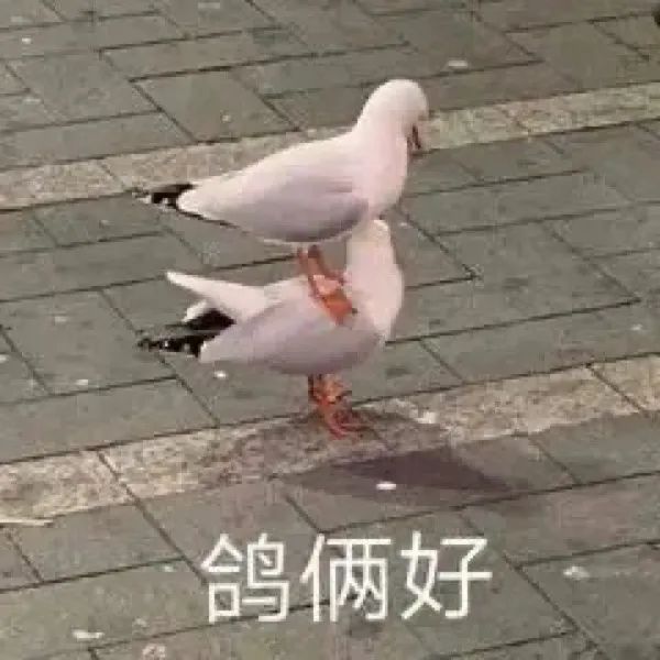 图片[11]-奇怪的表情增加了-喜欢表情包分享—全网表情包