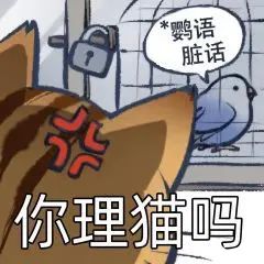 图片[25]-最近热门鸟语表情-喜欢表情包分享—全网表情包