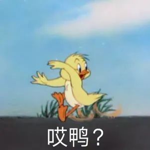 图片[26]-沙雕表情包-喜欢表情包分享—全网表情包