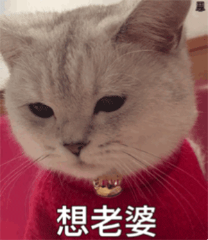 图片[1]-想老公 老婆-喜欢表情包分享—全网表情包