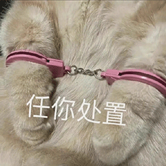 图片[12]-晚安，记得撸了再睡-喜欢表情包分享—全网表情包