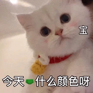 图片[8]-走， 带你去吃粑粑-喜欢表情包分享—全网表情包