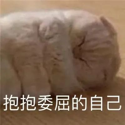 图片[2]-好玩又搞怪的聊天表情包-喜欢表情包分享—全网表情包