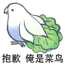 图片[4]-最近热门鸟语表情-喜欢表情包分享—全网表情包
