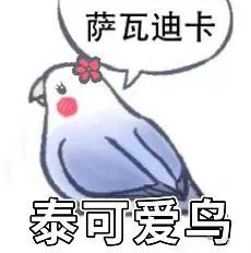 图片[26]-最近热门鸟语表情-喜欢表情包分享—全网表情包