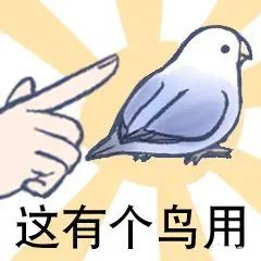 图片[16]-最近热门鸟语表情-喜欢表情包分享—全网表情包