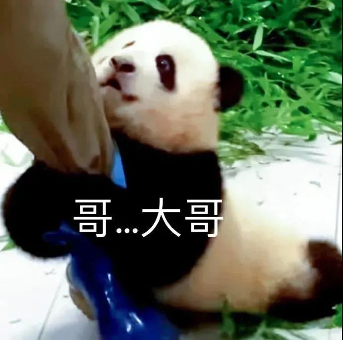 图片[12]-表情包-喜欢表情包分享—全网表情包