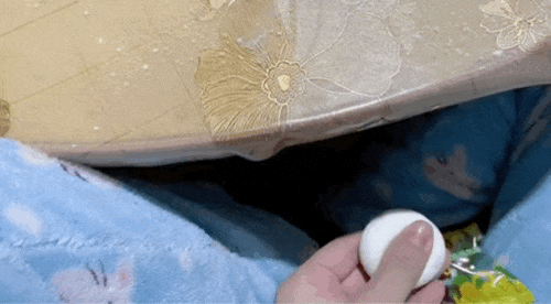 图片[1]-【GIF】妈见打-喜欢表情包分享—全网表情包