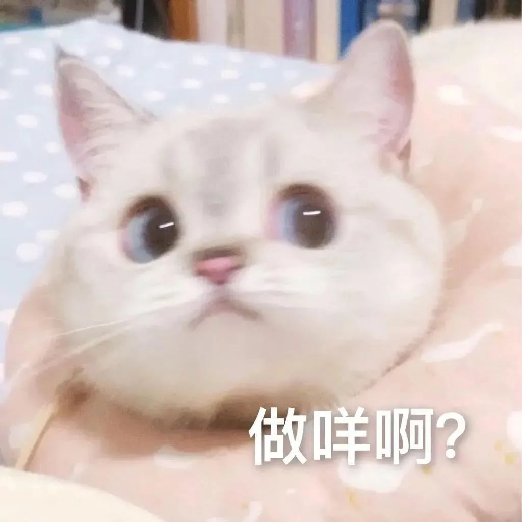 图片[28]-我能和你用情侣头像吗-喜欢表情包分享—全网表情包