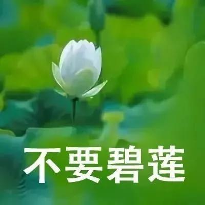 图片[19]-只想做你一个人的舔狗-喜欢表情包分享—全网表情包
