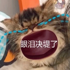 图片[14]-45个聊天撒娇必用大嘴猫表情-喜欢表情包分享—全网表情包